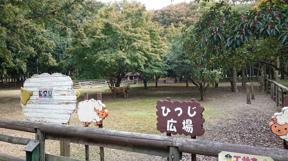 充実日曜日＆退屈月曜日_c0363378_11040927.jpg