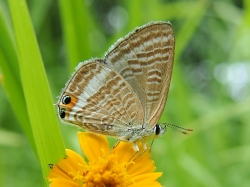 d0240983_92340.jpg