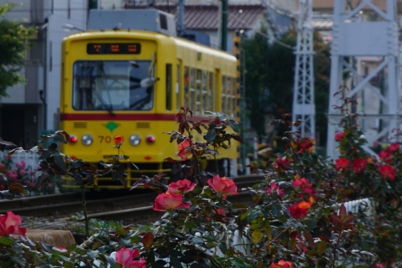 d0341483_20201906.jpg
