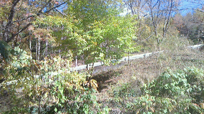 f0131183_18544969.jpg