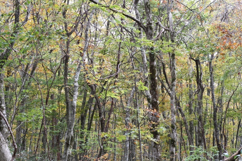 f0350585_16084467.jpg