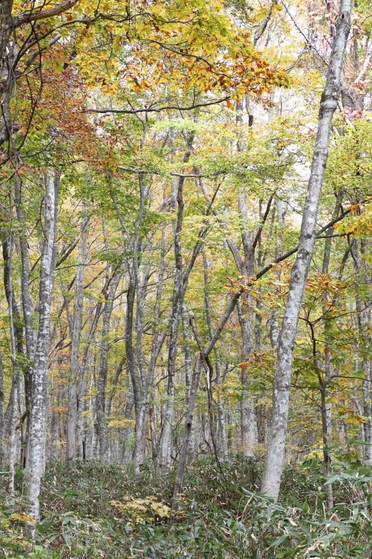 f0350585_16174767.jpg