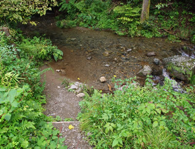b0123486_10432425.jpg