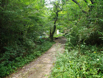 b0123486_1648277.jpg