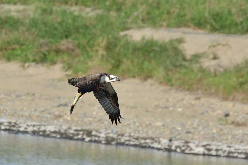 f0340091_10220133.jpg