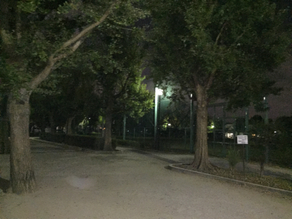 d0135694_08490000.jpg