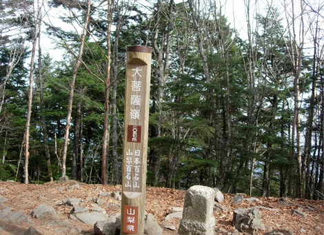 d0129295_1535356.jpg