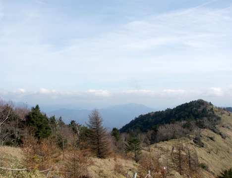 d0129295_15363394.jpg