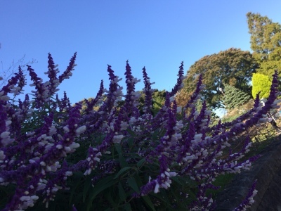 f0239098_09232613.jpeg