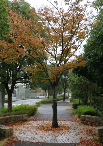 a0123003_18573270.jpg