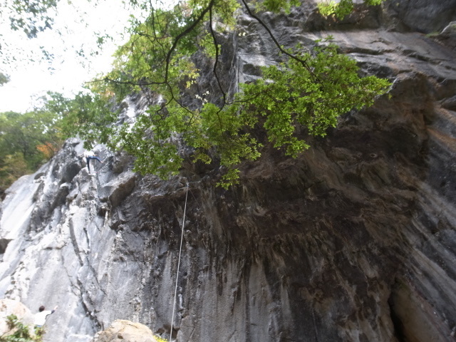 f0197703_13020314.jpg