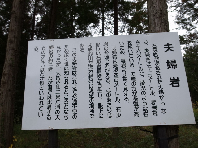 f0197703_18183303.jpg