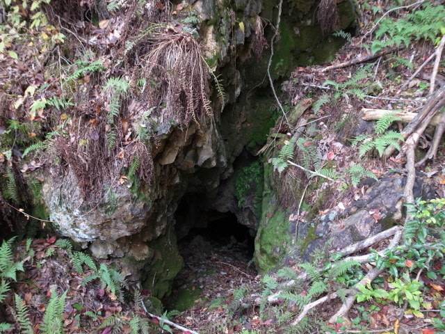 f0197703_18444020.jpg
