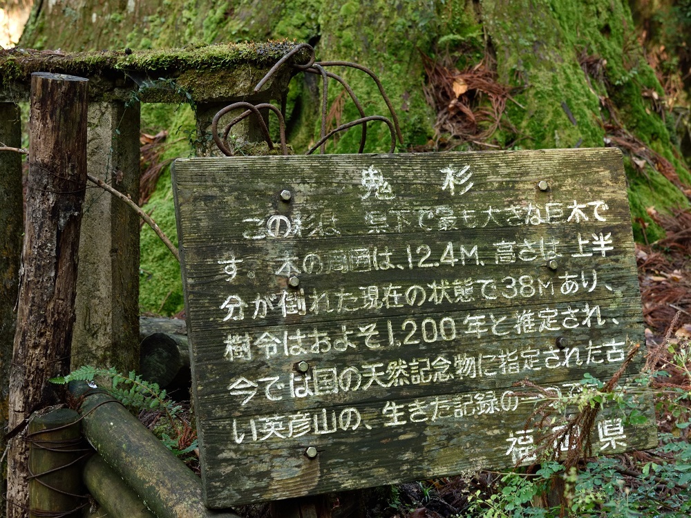 b0277008_17552422.jpg