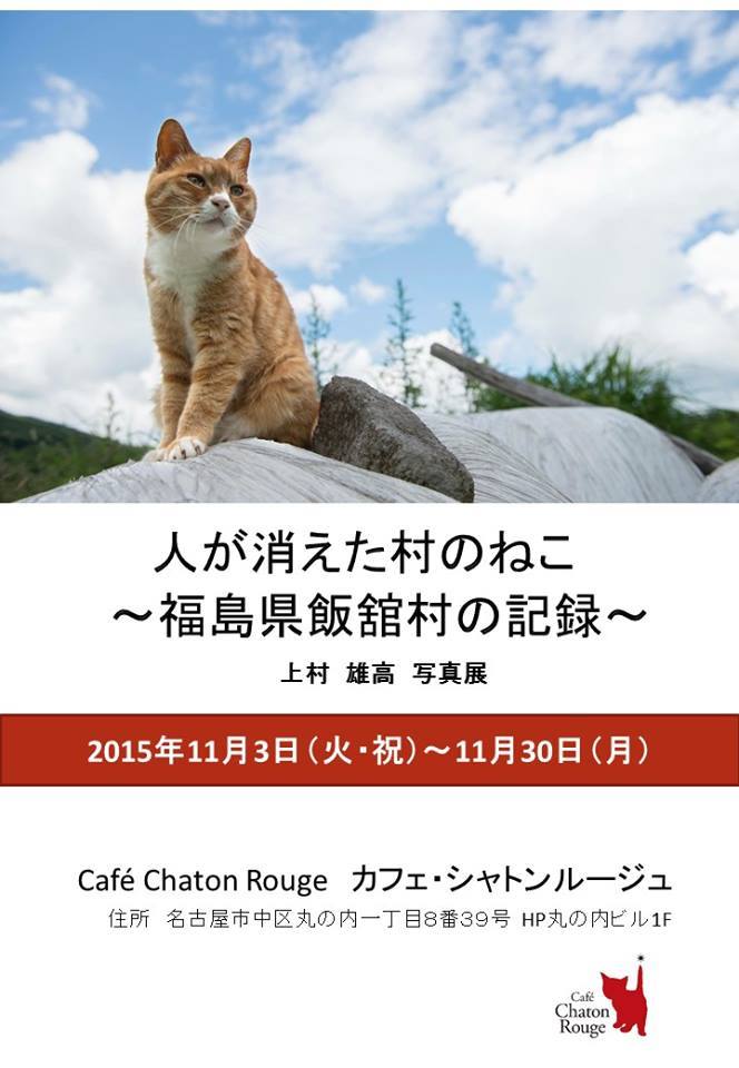 人が消えた村のねこ　〜福島県飯舘村の記録〜_a0336610_17280464.jpg