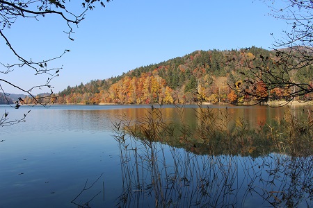 c0200413_1019100.jpg