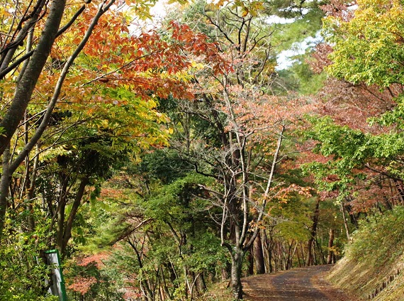 c0247614_22411722.jpg