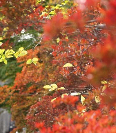 c0247614_22431716.jpg