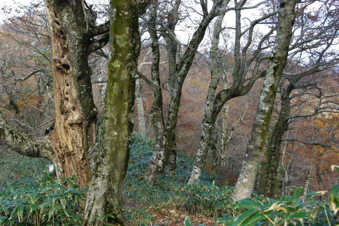 d0341514_07281179.jpg