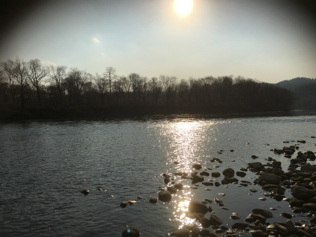 f0321417_17383312.jpeg