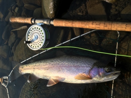 f0321417_17512927.jpeg