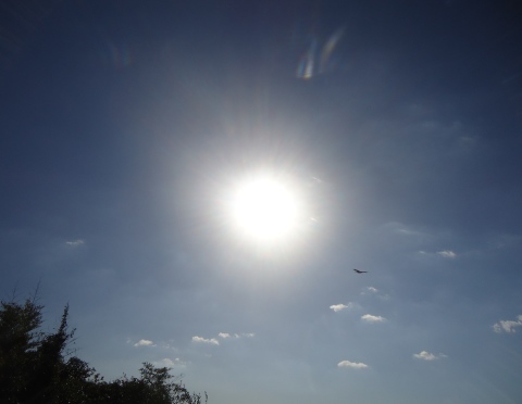 f0356718_15535475.jpg