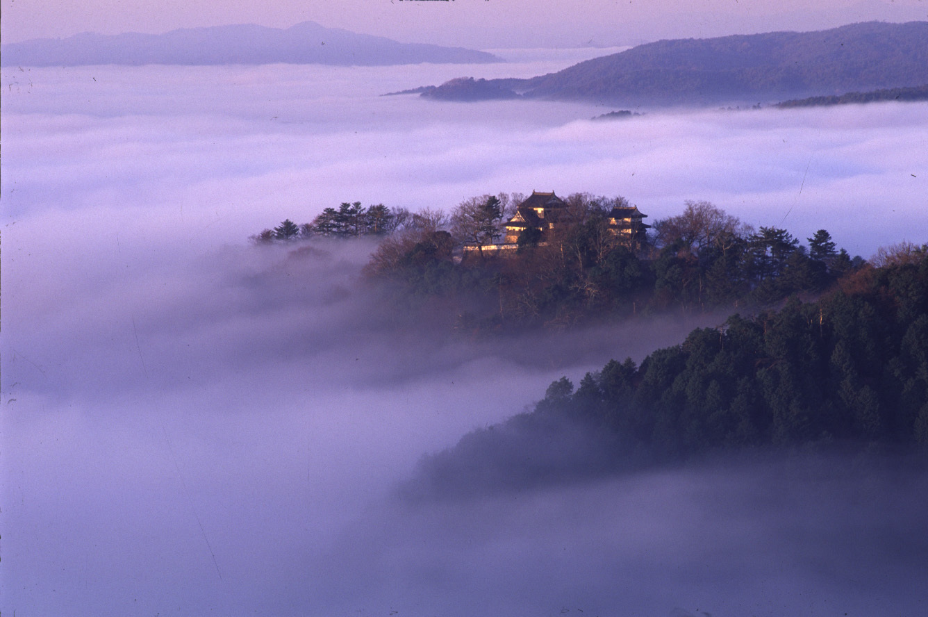 岡山旅行 その 1 高梁市 (備中松山城ほか)、鬼ノ城、吉備路 (吉備津神社ほか)_e0345320_11035263.jpg