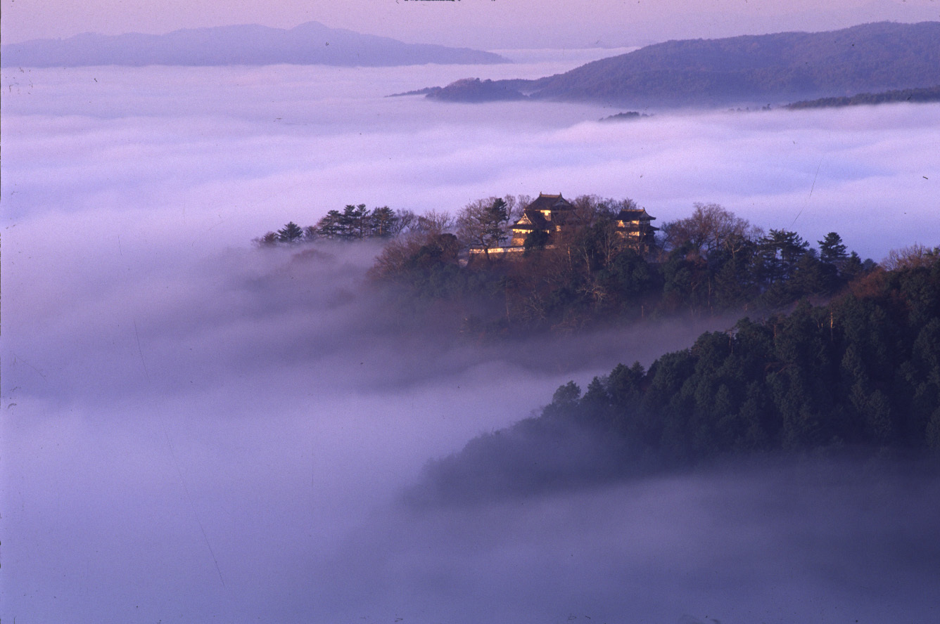 岡山旅行　その 1　高梁市 (備中松山城ほか)、鬼ノ城、吉備路 (吉備津神社ほか)_e0345320_11035263.jpg