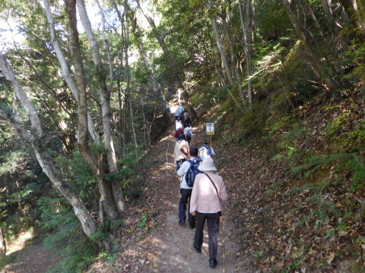 岡山旅行　その 1　高梁市 (備中松山城ほか)、鬼ノ城、吉備路 (吉備津神社ほか)_e0345320_11093344.jpg