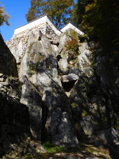 岡山旅行　その 1　高梁市 (備中松山城ほか)、鬼ノ城、吉備路 (吉備津神社ほか)_e0345320_11330244.jpg