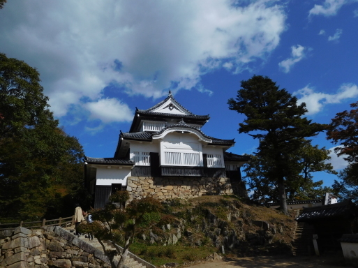 岡山旅行　その 1　高梁市 (備中松山城ほか)、鬼ノ城、吉備路 (吉備津神社ほか)_e0345320_11392760.jpg