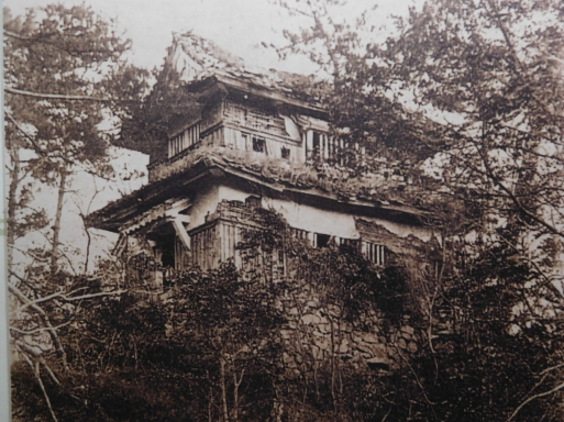 岡山旅行 その 1 高梁市 (備中松山城ほか)、鬼ノ城、吉備路 (吉備津神社ほか)_e0345320_11470645.jpg