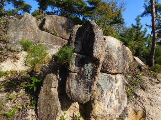 岡山旅行 その 1 高梁市 (備中松山城ほか)、鬼ノ城、吉備路 (吉備津神社ほか)_e0345320_18214898.jpg