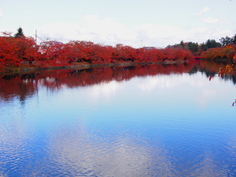 b0147224_20291717.jpg