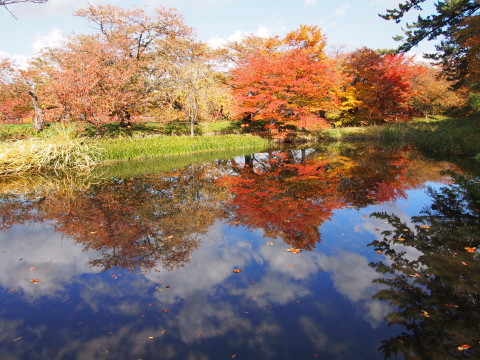 b0147224_20293346.jpg