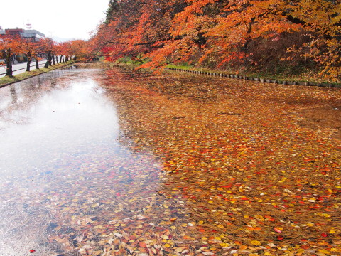 b0147224_20301011.jpg