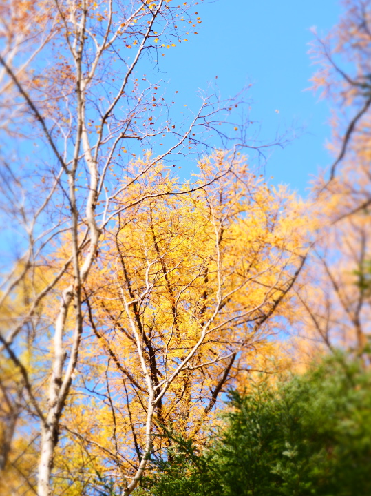 b0244424_2253053.jpg