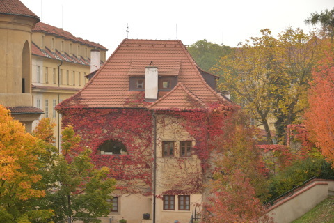 e0335926_23470265.jpg