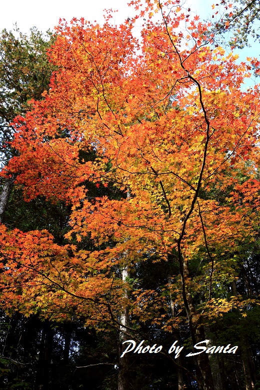 c0201929_815528.jpg