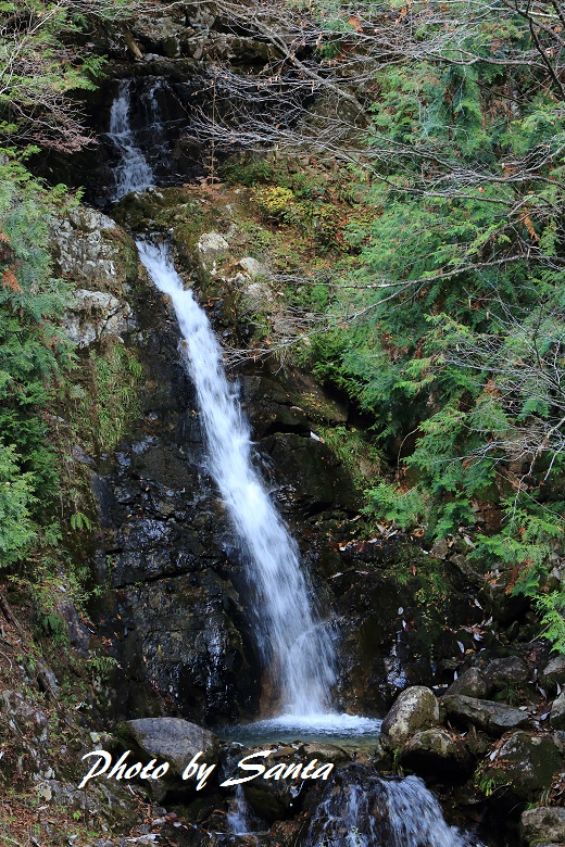 c0201929_816741.jpg