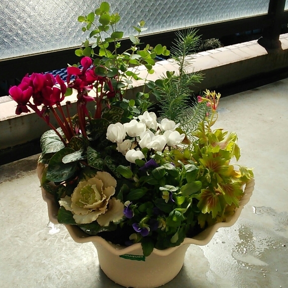 c0226331_17564817.jpg