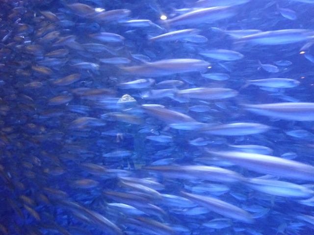 a0042932_12592048.jpg