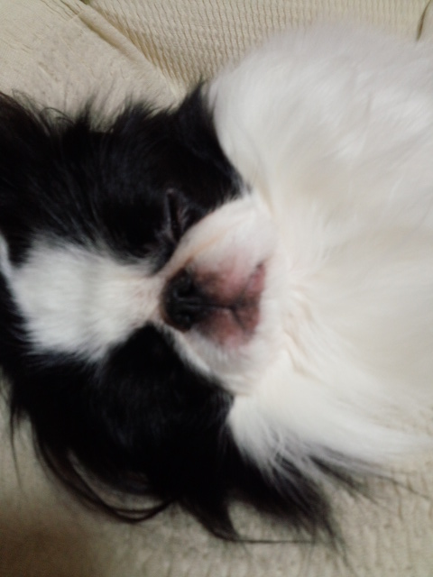 b0277132_20113657.jpg