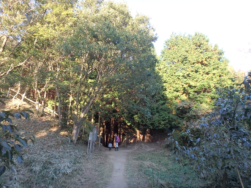 c0113733_232161.jpg