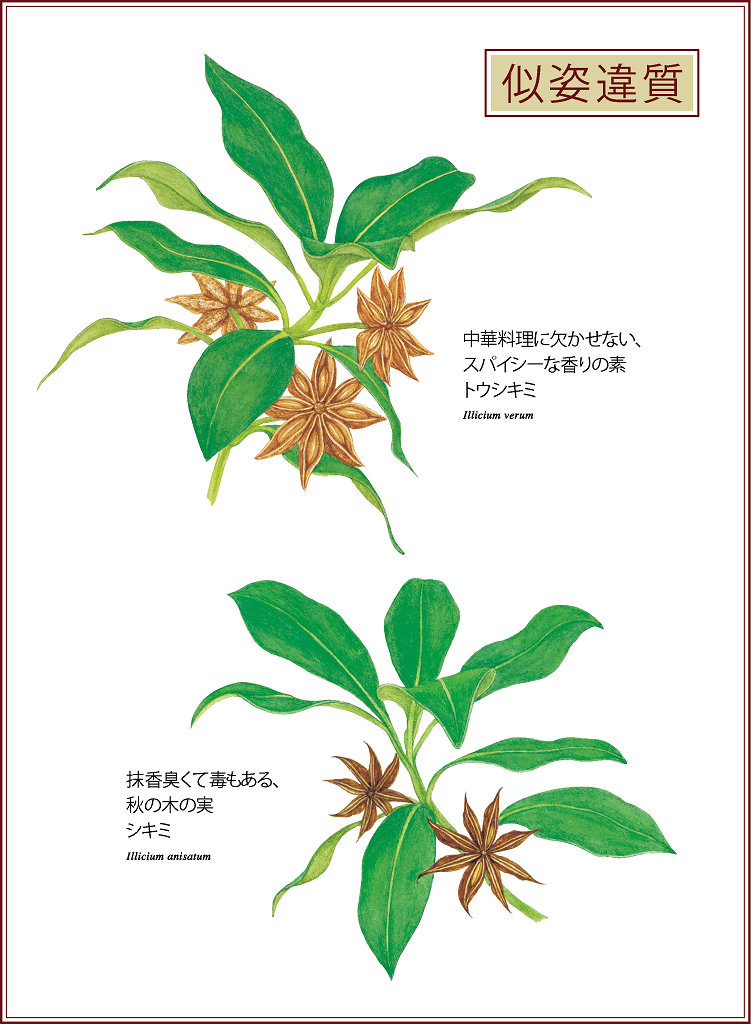 c0239833_22192473.png
