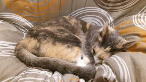 a0193441_03573888.jpg