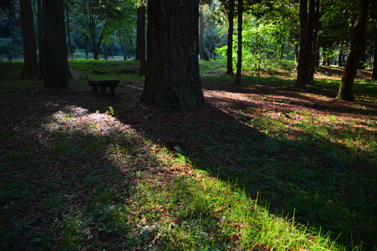 c0093046_18392175.gif