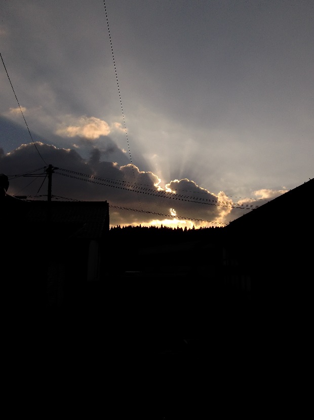 ノイズ オーディオ大好きおやじの日記