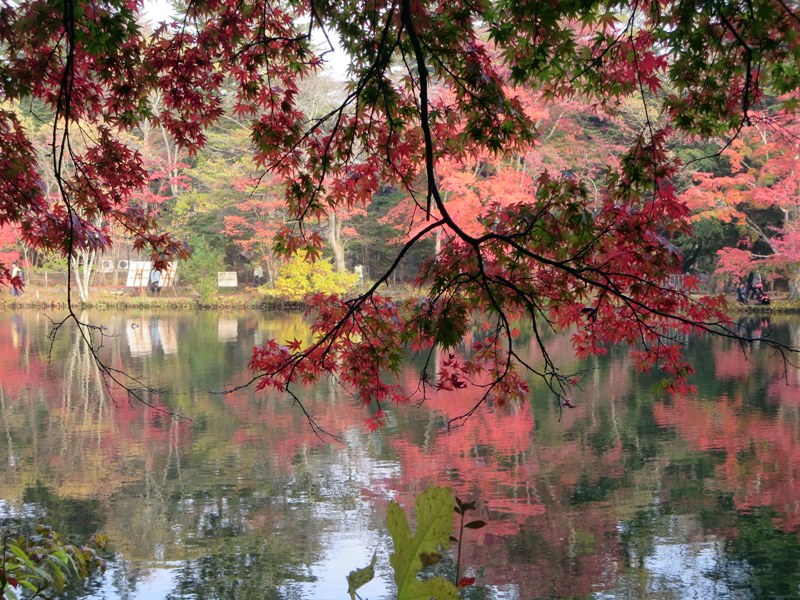 【紅葉＆温泉ミステリーツアー】⑭雲場池again【軽井沢】_b0009849_1944270.jpg