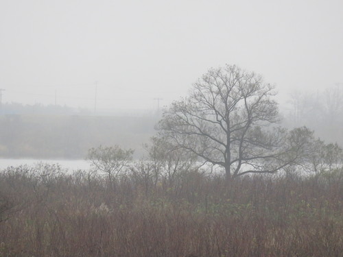 b0238249_1758164.jpg